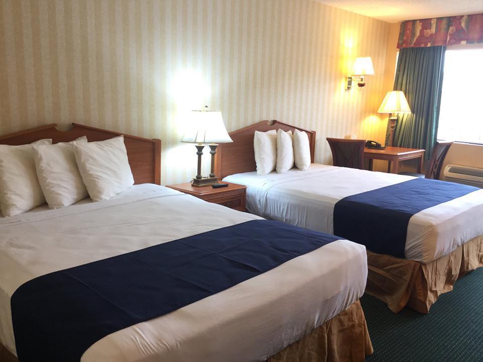 Springfield Inn Εξωτερικό φωτογραφία
